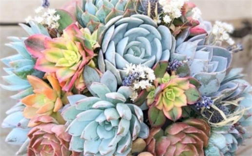 2025年6月领证吉日老黄历